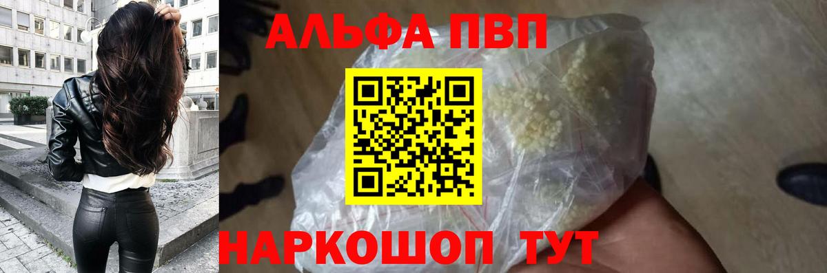 A-PVP СК Ачхой-Мартан