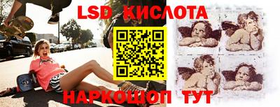 PSILOCYBIN Брянск