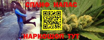 PSILOCYBIN Брянск