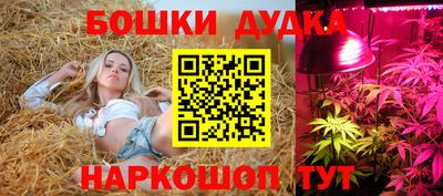 PSILOCYBIN Брянск