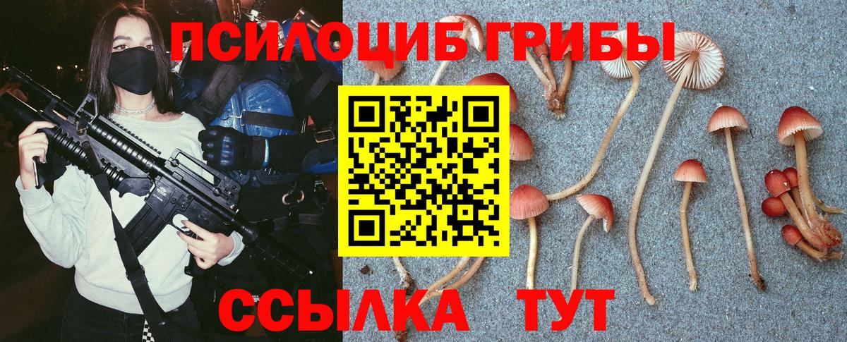 Галлюциногенные грибы Psilocybine cubensis  что такое   Ачхой-Мартан  Вход с VPN 