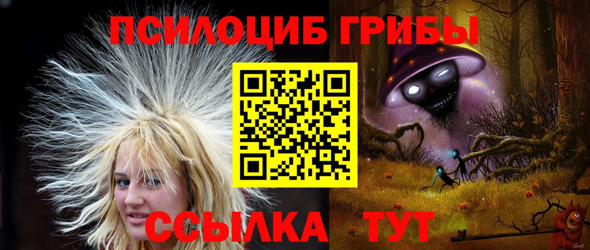 Псилоцибиновые грибы Psilocybe Ачхой-Мартан